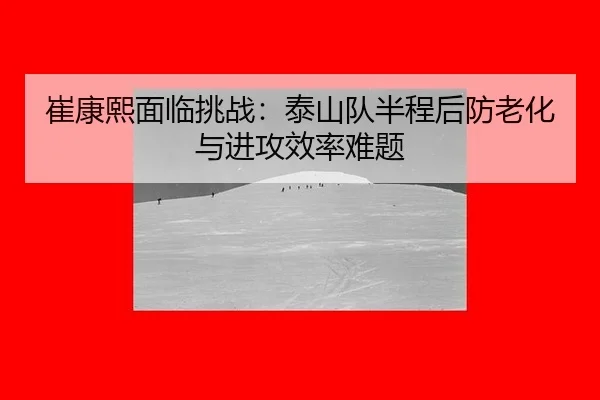 cui-kang-xi-mian-lin-tiao-zhan-tai-shan-dui-ban-cheng-hou-fang-lao-hua-yu-jin-gong-xiao-lv-nan-ti-2-760.jpg