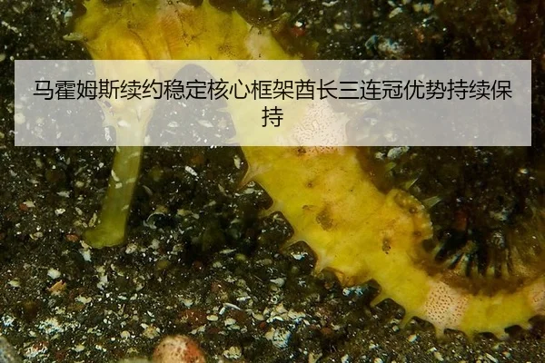 马霍姆斯续约稳定核心框架酋长三连冠优势持续保持