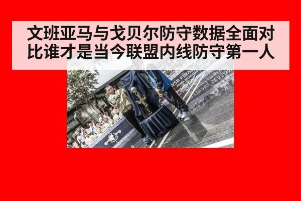 文班亚马与戈贝尔防守数据全面对比谁才是当今联盟内线防守第一人